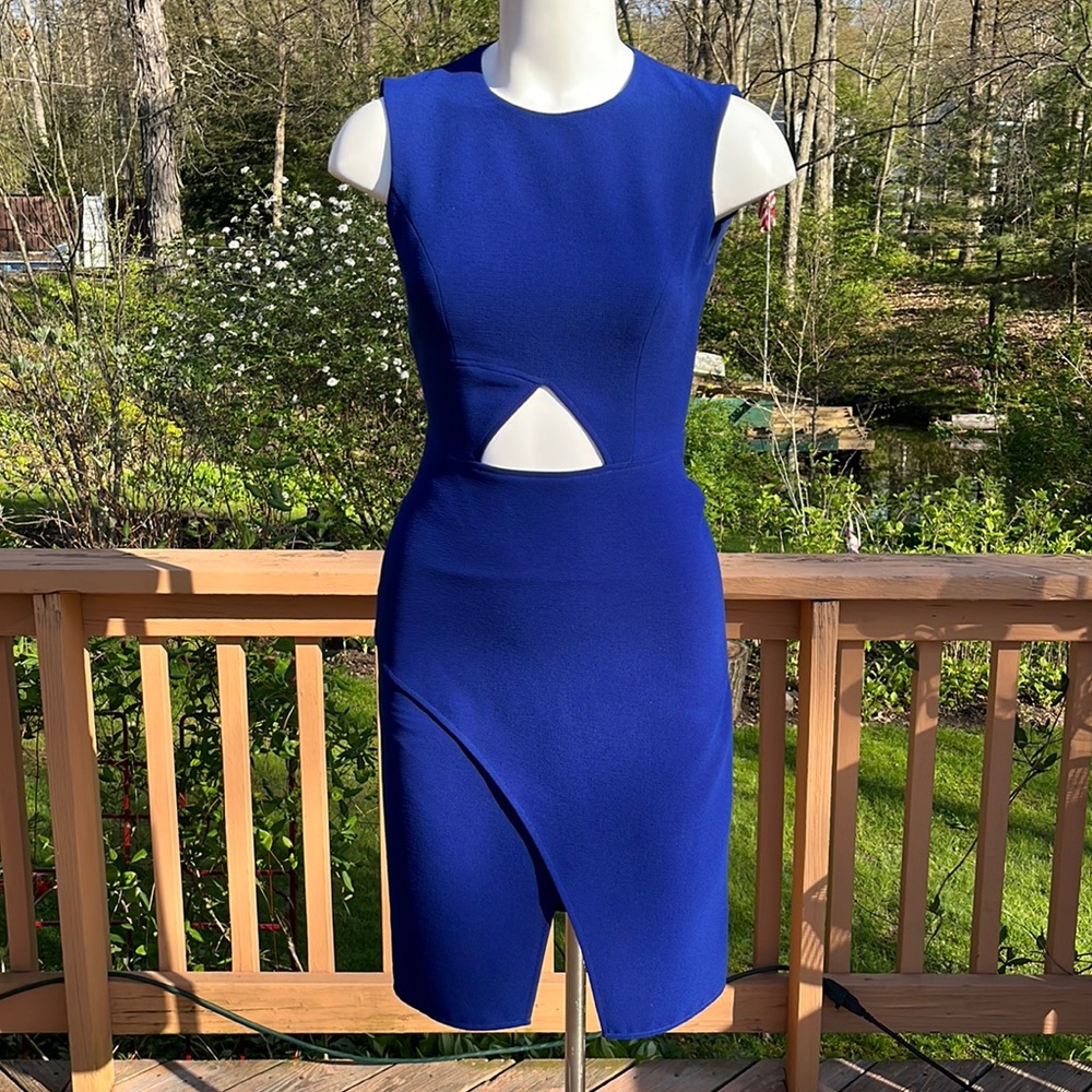 NWOT BCBGMaxAzria bodycon dress 2-4